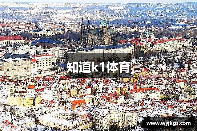 知道k1体育